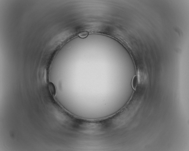 X0000113890205200910151341
