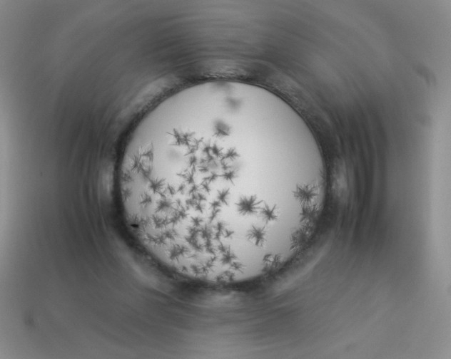 X0000113890206200910151341