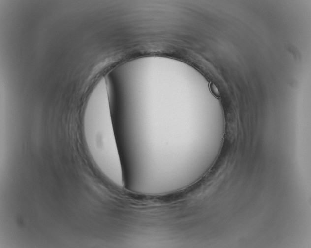 X0000113890207200910151341