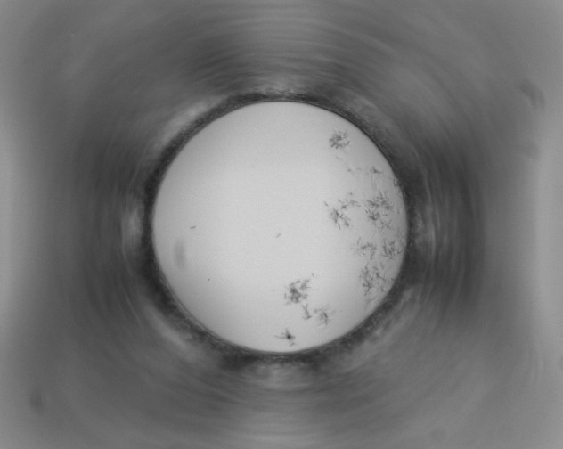 X0000113890208200910151341