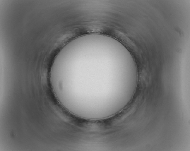 X0000113890209200910151341