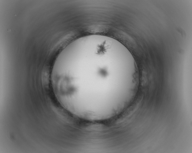 X0000113890210200910151341