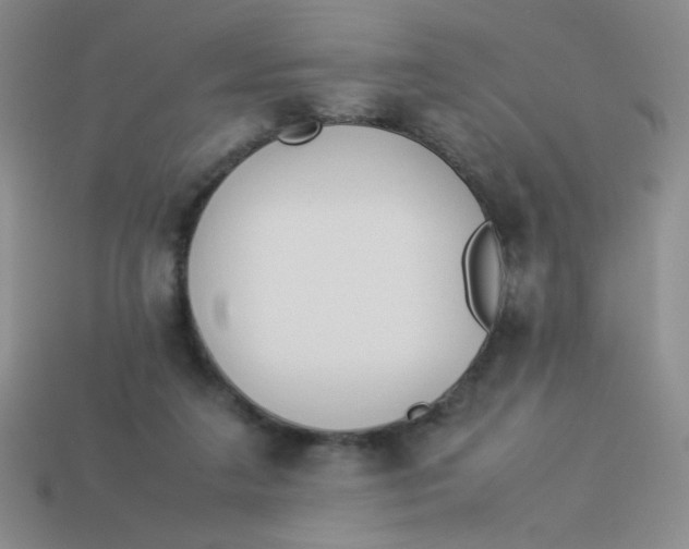 X0000113890211200910151341