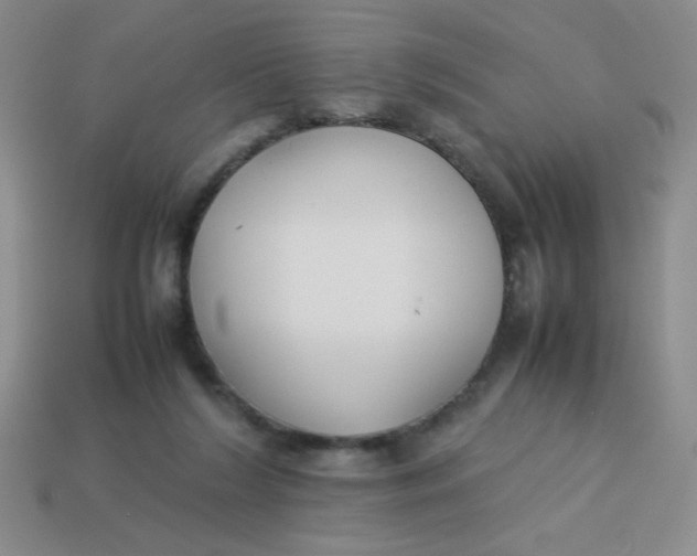 X0000113890212200910151341