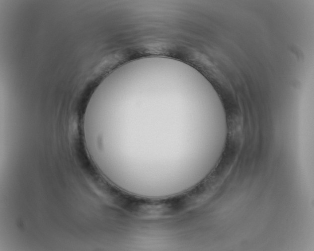 X0000113890213200910151341