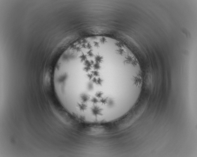 X0000113890214200910151341