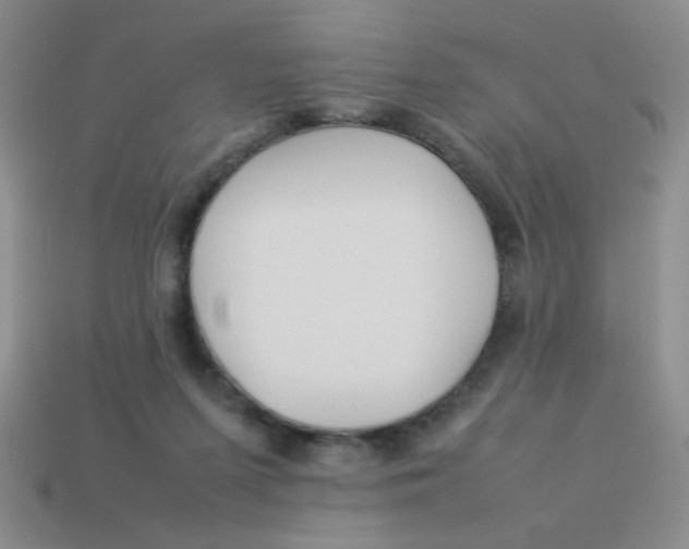 X0000113890215200910151341