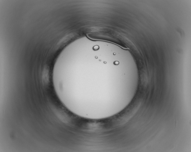X0000113890216200910151341