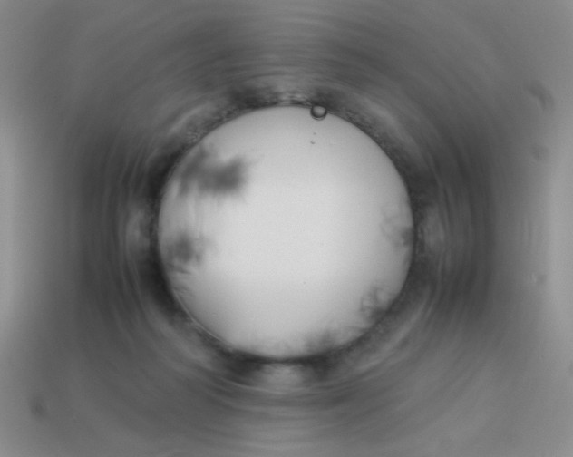X0000113890218200910151341
