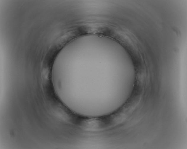 X0000113890219200910151341