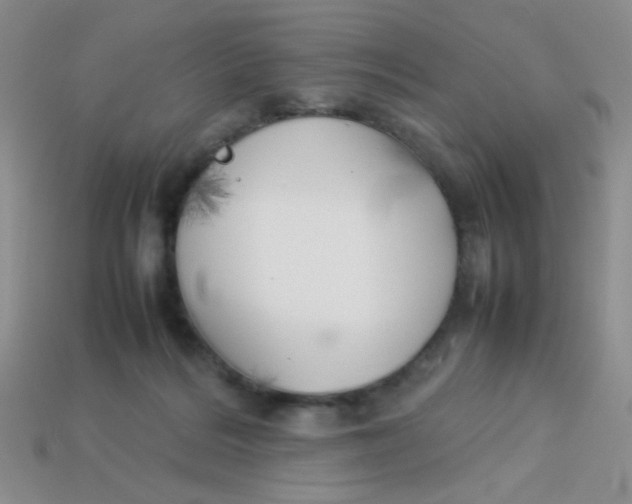 X0000113890220200910151341