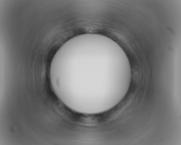 X0000113890221200910151341