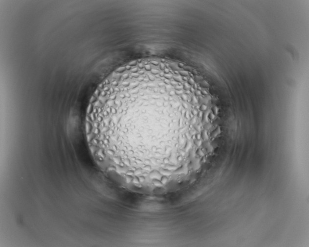 X0000113890222200910151341