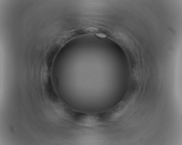 X0000113890223200910151341