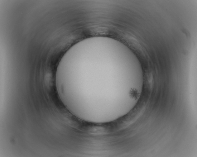 X0000113890224200910151341