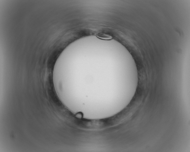 X0000113890225200910151341