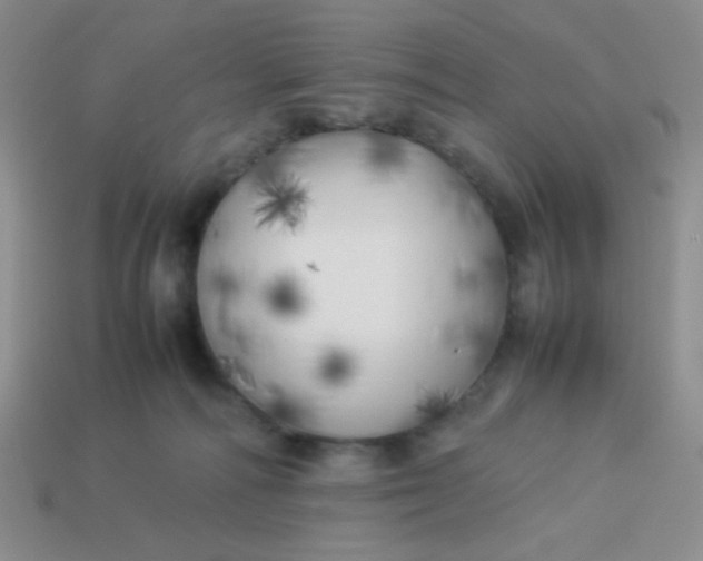 X0000113890226200910151341