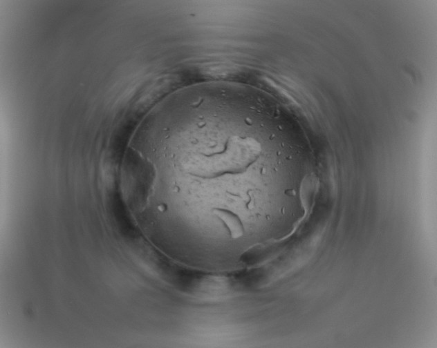 X0000113890227200910151341