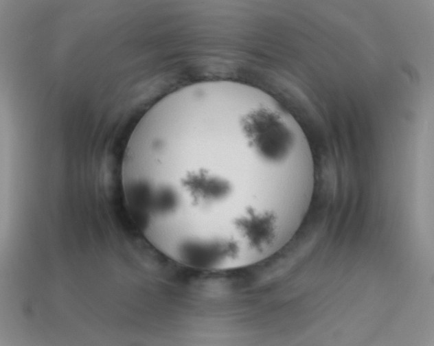 X0000113890228200910151341