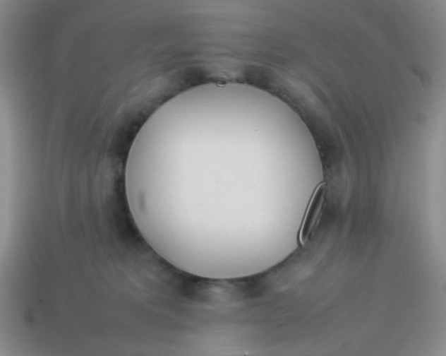 X0000113890229200910151341