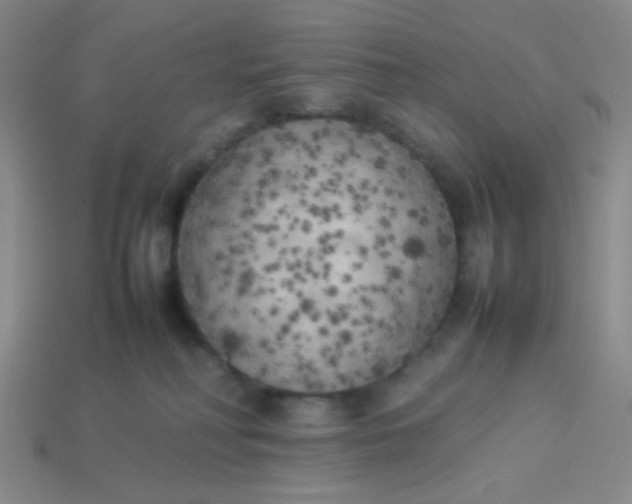 X0000113890230200910151341
