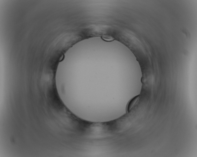 X0000113890231200910151341