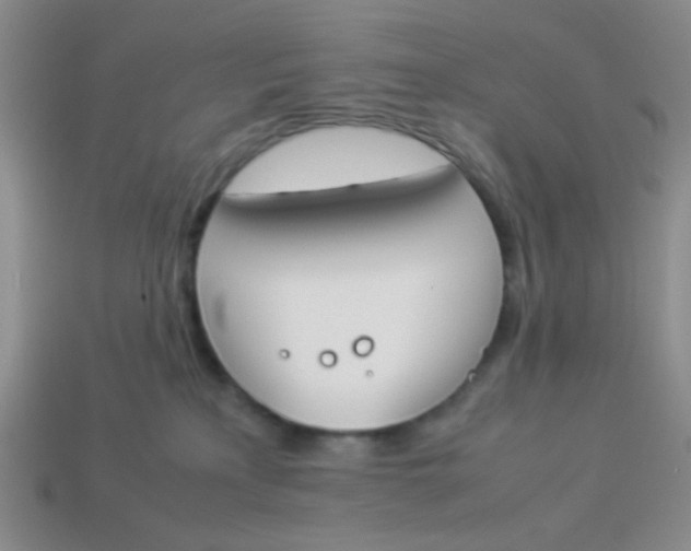 X0000113890233200910151341