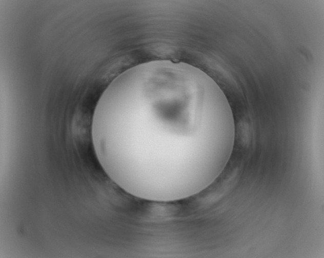 X0000113890234200910151341