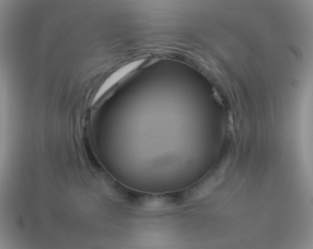 X0000113890235200910151341