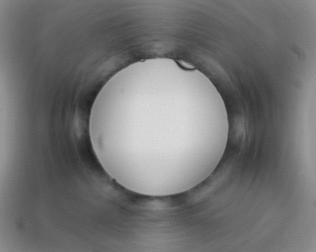 X0000113890236200910151341