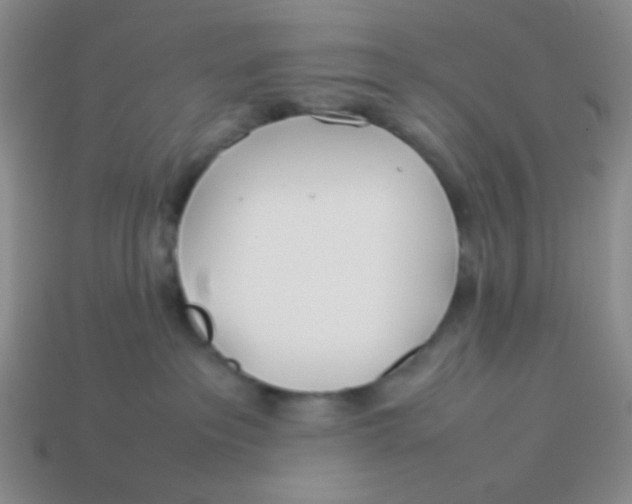 X0000113890237200910151341