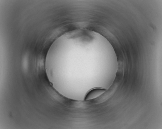 X0000113890238200910151341