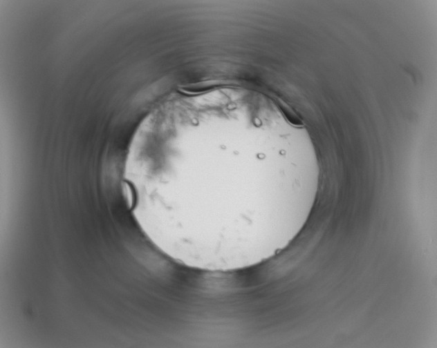 X0000113890240200910151341