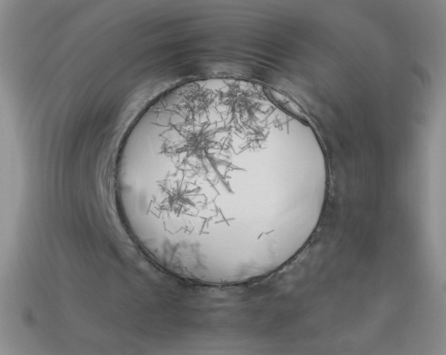 X0000113890241200910151340