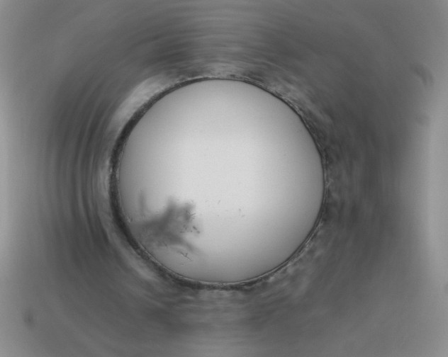 X0000113890242200910151340