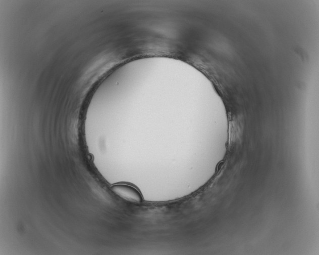 X0000113890243200910151340