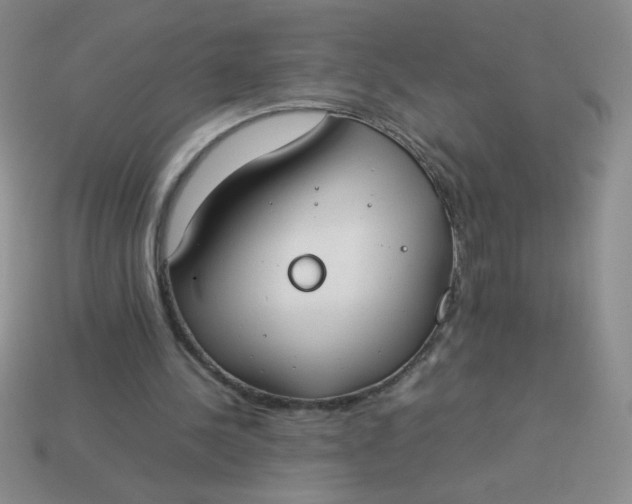X0000113890244200910151340