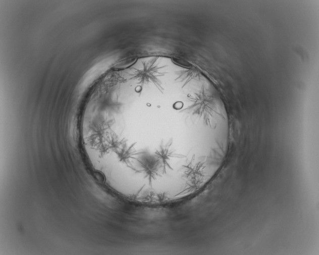 X0000113890245200910151340