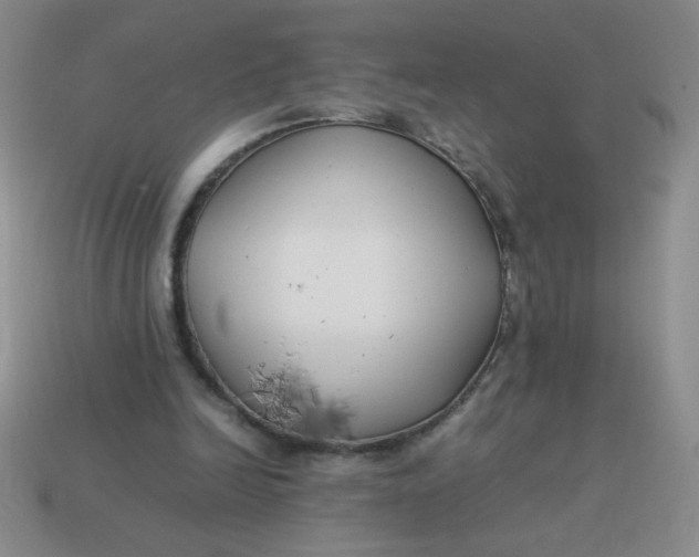 X0000113890246200910151340