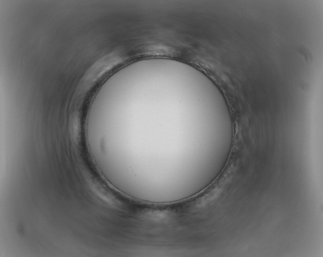 X0000113890247200910151340
