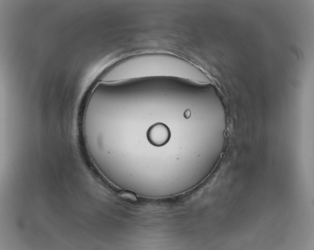 X0000113890248200910151340