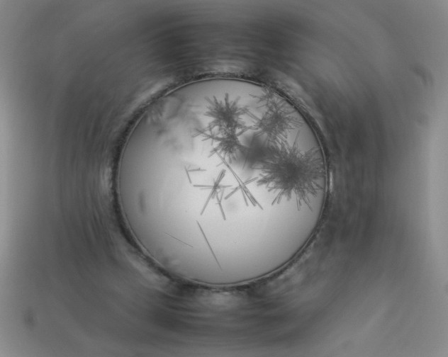 X0000113890249200910151340