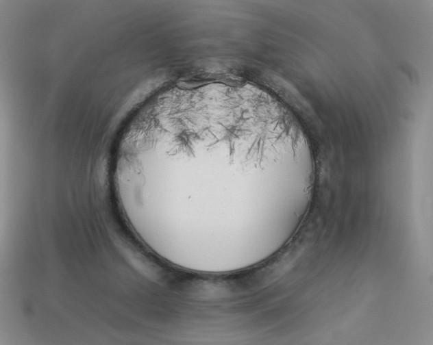 X0000113890250200910151340