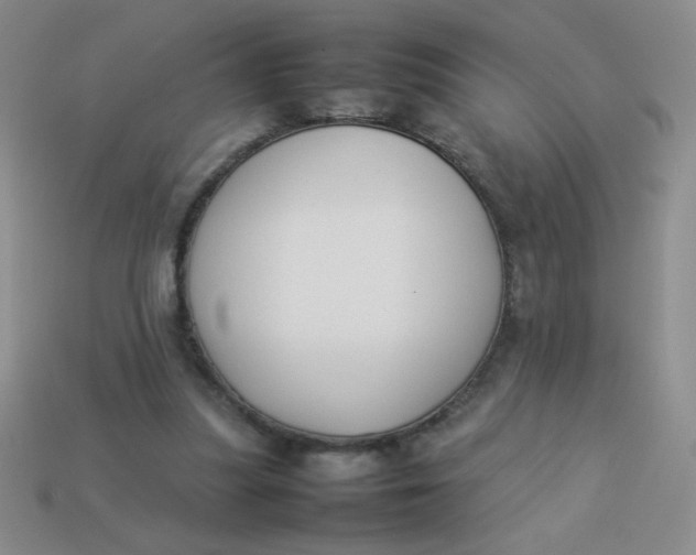 X0000113890251200910151340