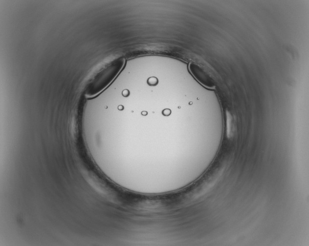 X0000113890252200910151340