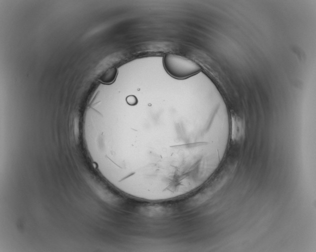 X0000113890253200910151340