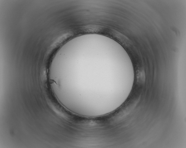 X0000113890254200910151340
