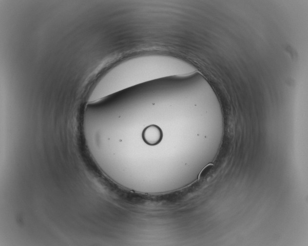 X0000113890256200910151340