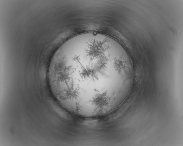 X0000113890257200910151340