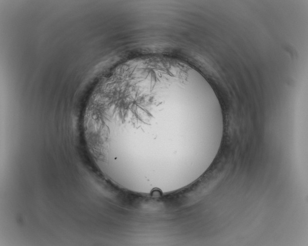 X0000113890258200910151340